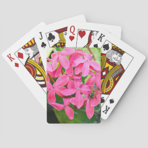 Cartes De Jeu Plante Ixora