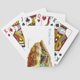 Cartes de jeu pour la faune