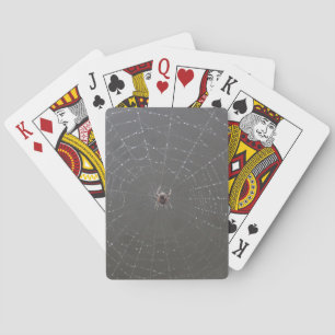 Cartes de jeu Spider