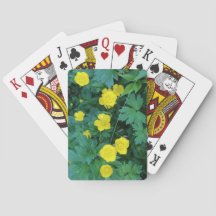 Cartes de jeu standard orientées de renoncule