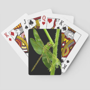 Cartes de jeu vertes de libellule