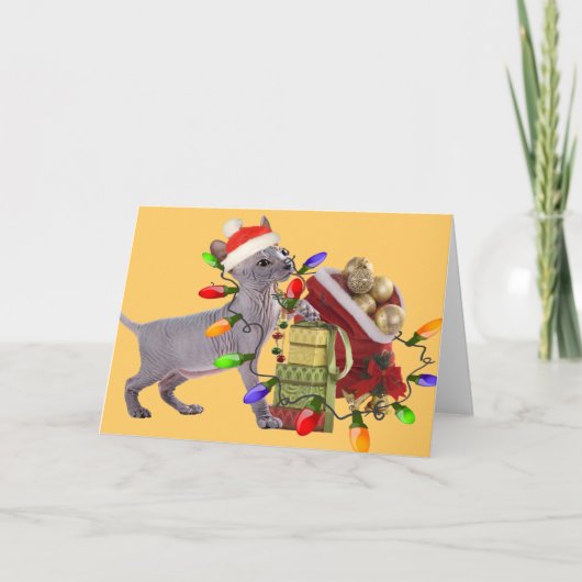 Cartes de Joyeux Noël de Sphynx (Devant)