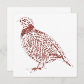 Cartes de la Perdrix (Devant / Derrière)