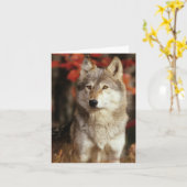 Cartes de loup (Fleur jaune)