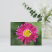 Cartes de marguerite peintes et plus (Debout devant)