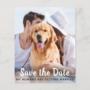 Cartes de Mariage de Chien Enregistrer la Date de 