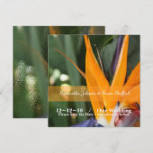 Cartes de mariage Oiseau de Paradis Tropical (Devant / Derrière)