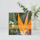 Cartes de mariage Oiseau de Paradis Tropical (Debout devant)