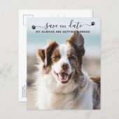 Cartes de mariage pour chien avec code QR pour pho (Devant / Derrière)
