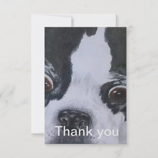 Cartes de Merci de Boston Terrier (Devant)