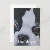 Cartes de Merci de Boston Terrier (Devant / Derrière)