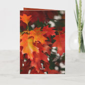 Cartes de message Feuilles orange bon thanksgiving (Dos)
