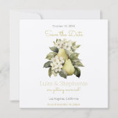 Cartes de mise en vente anticipée Brown & Green Pe (Devant)