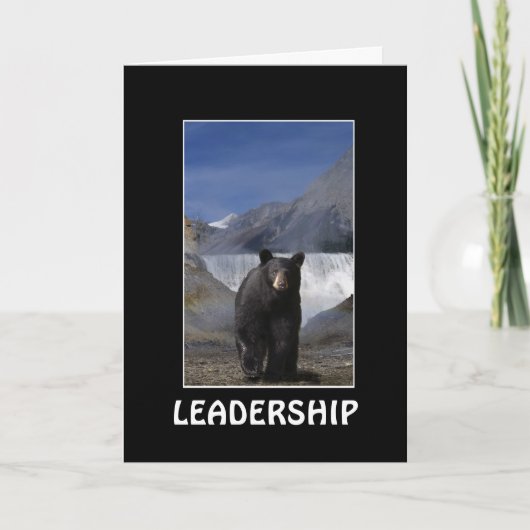 Cartes de motivation de DIRECTION d'OURS NOIR (Devant)