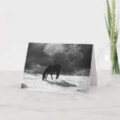 Cartes de Noël 2012 (Devant)