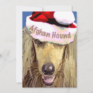 Cartes de Noël Afghan Hound 10 pk