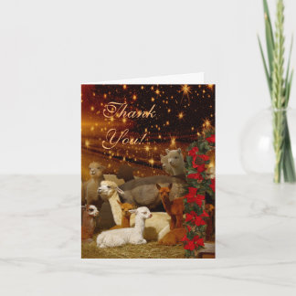 Cartes de Noël Alpaca Merci