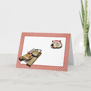 Cartes de Noël amusantes