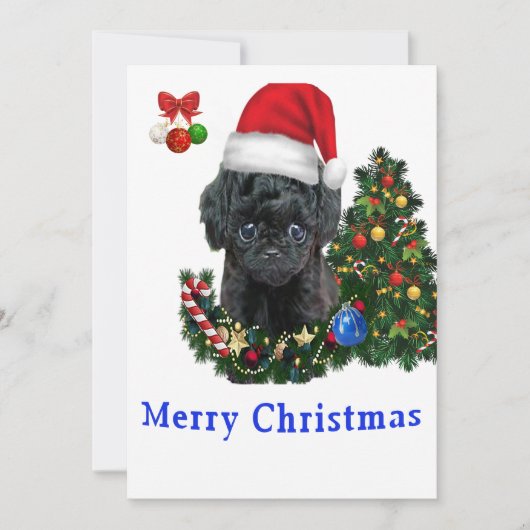 Cartes de Noël Caniche (Devant)