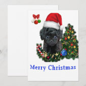 Cartes de Noël Caniche (Devant / Derrière)