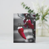 Cartes de Noël Chili (Debout devant)