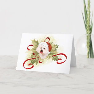 Cartes de Noël de Bichon Frise