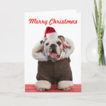 Cartes de Noël de Bulldog amusantes et mignonnes<br><div class="desc">Drôle Bulldog portant chapeau de Père Noël, manteau et écharpe. Une carte de Noël photo que tous vos amis amateurs de chien adoreront, en particulier tous les fans de bulldog. Le message de Noël peut être personnalisé. Une autre image originale de l'un des meilleurs photographes de chiens du pays. Sam...</div>