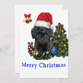 Cartes de Noël de caniche (Devant / Derrière)