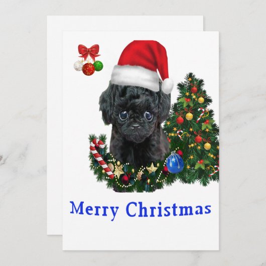 Cartes de Noël de caniche (Devant / Derrière)