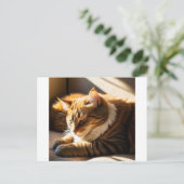 cartes de Noël de chat timbres 2025 (Debout devant)