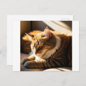 cartes de Noël de chat timbres 2025 (Devant / Derrière)