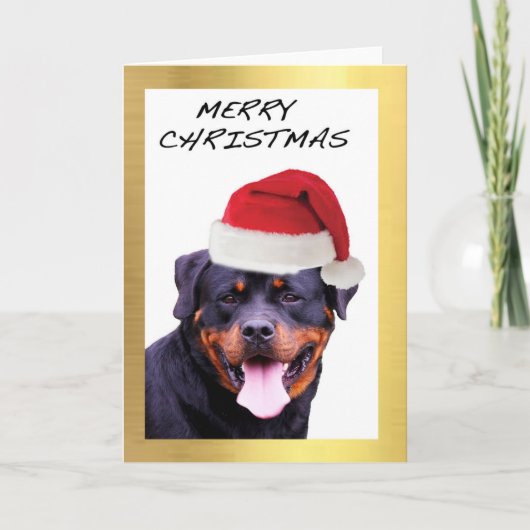 Cartes de Noël design "Rottweiler" (Devant)