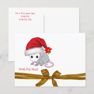 Cartes de Noël du Pôle Nord Opossum