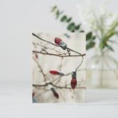 Cartes de Noël et Stickers (Debout devant)