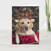 Cartes de Noël Funny Yellow Lab (Devant)
