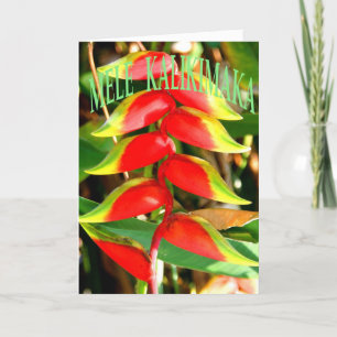 Cartes de Noël hawaïennes