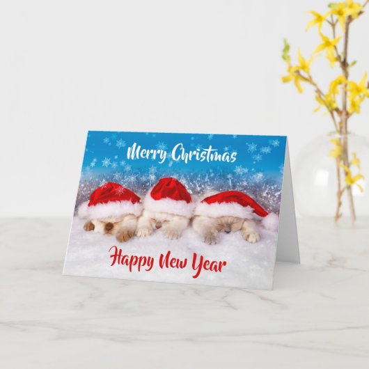 Cartes de Noël Kitten BULK Cartes de Noël ou une (Fleur jaune)