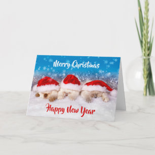 Cartes de Noël Kitten BULK Cartes de Noël ou une
