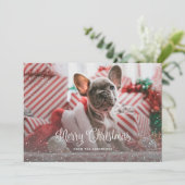 Cartes de Noël Photo Green Snowy (Debout devant)