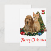 Cartes de Noël pour animaux (Devant / Derrière)