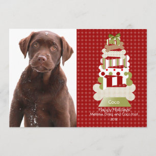 Cartes de Noël pour animaux   Stock d'invitation d