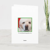 Cartes de Noël pour Bulldog (Dos)