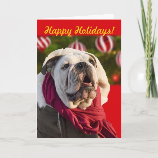 Cartes de Noël pour Bulldog (Devant)