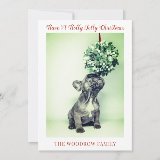 Cartes de Noël pour chien (Devant)