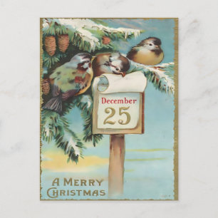 Cartes de Noël Vintage 25 décembre Oiseaux & Pin