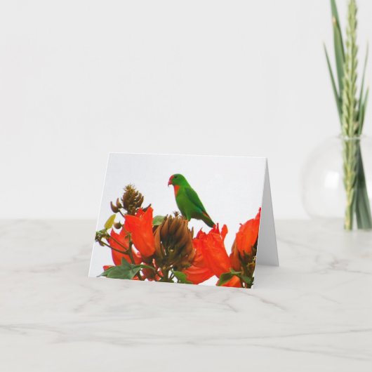 Cartes de note avec le perroquet exotique sur les (Devant)