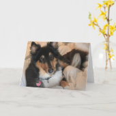 Cartes de note confortables de blanc de colley (Fleur jaune)