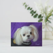 Cartes de note d'Ava (Debout devant)