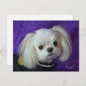 Cartes de note d'Ava (Devant / Derrière)