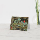 Cartes de note de cardinaux (Devant)